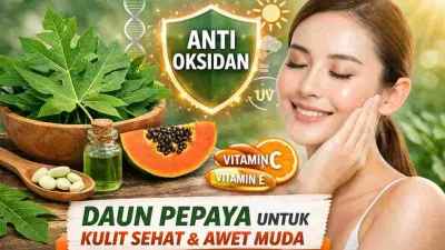 Thumbnail daun pepaya dengan ilustrasi antioksidan, vitamin C dan E, serta wanita berkulit sehat untuk artikel manfaat daun pepaya mencegah penuaan dini.