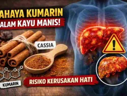 Bahaya Kumarin pada Kayu Manis dan Cara Aman Konsumsinya