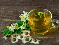 Banyak yang Keliru! Cara Mengolah Daun Kelor agar Nutrisinya Utuh