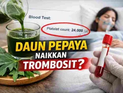 Benarkah Daun Pepaya Bisa Naikkan Trombosit? Ini Penjelasannya