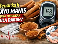 Benarkah Kayu Manis Bisa Turunkan Gula Darah? Ini Fakta Ilmiahnya