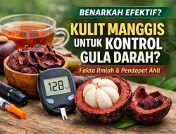 Benarkah Kulit Manggis Bisa Kontrol Gula Darah? Ini Penjelasan Ahli