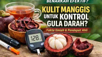 Benarkah Kulit Manggis Bisa Kontrol Gula Darah? Ini Penjelasan Ahli