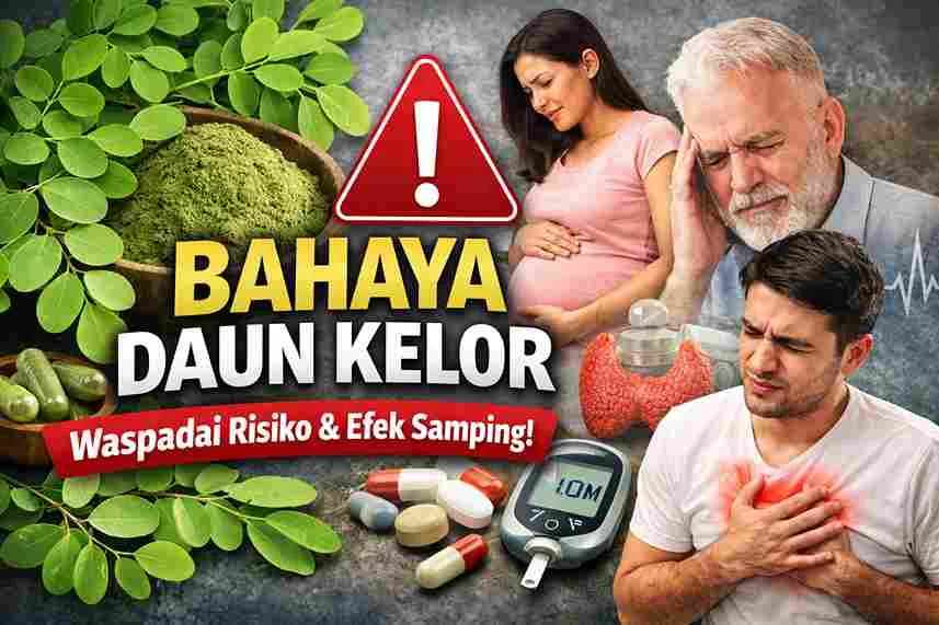 Thumbnail ilustrasi bahaya daun kelor dengan simbol peringatan, ibu hamil, penderita penyakit, dan obat-obatan medis.