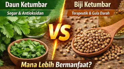 Daun Ketumbar dan Biji Ketumbar, Mana Lebih Bermanfaat?