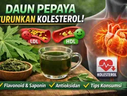 Daun Pepaya Ternyata Bantu Jaga Kolesterol, Ini Faktanya