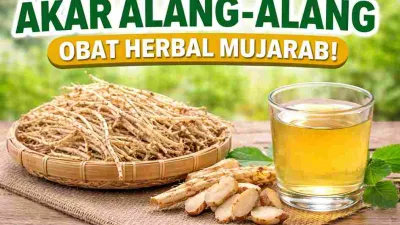 Dianggap Gulma, Akar Alang-Alang Ternyata Obat Alami