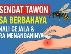 Disengat Tawon Bisa Berbahaya, Kenali Gejala & Cara Menanganinya