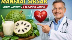 Manfaat buah sirsak untuk jantung dan tekanan darah ditunjukkan oleh dokter dengan ilustrasi jantung sehat