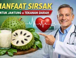 Dokter Ungkap Manfaat Sirsak untuk Tekanan Darah & Jantung Sehat