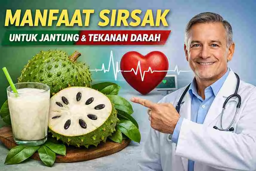 Manfaat buah sirsak untuk jantung dan tekanan darah ditunjukkan oleh dokter dengan ilustrasi jantung sehat
