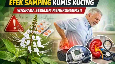 Efek Samping Kumis Kucing Menurut Penelitian dan Ahli