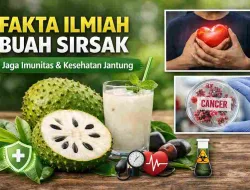 Fakta Ilmiah Buah Sirsak, Ternyata Bisa Jaga Imunitas & Jantung!