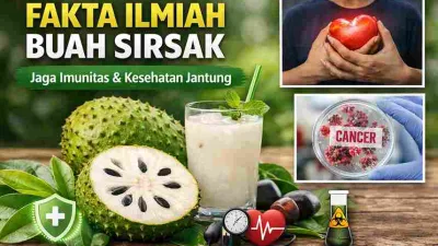 Thumbnail artikel buah sirsak dengan ilustrasi manfaat kesehatan untuk imunitas, jantung, dan potensi antikanker