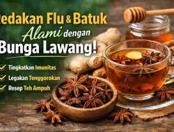 Flu & Batuk Tak Kunjung Sembuh? Coba Bunga Lawang, Ampuh Redakan!