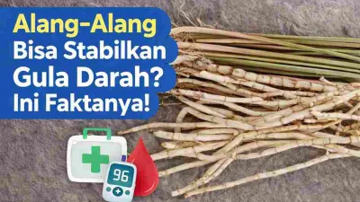 Gula Darah Tinggi? Penelitian Ungkap Manfaat Akar Alang-Alang