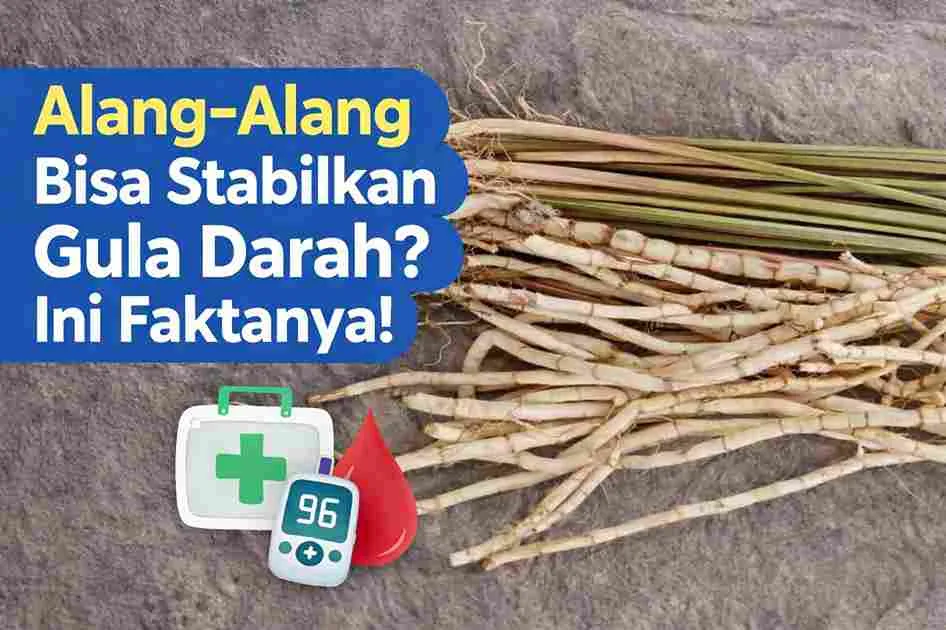 Akar alang-alang segar yang dipercaya membantu menurunkan gula darah secara alami