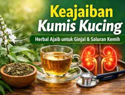 Herbal Nusantara Ini Jadi Sorotan Ilmuwan, Apa Keistimewaannya?