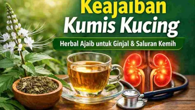 Thumbnail herbal kumis kucing dengan bunga putih, teh herbal, dan ilustrasi ginjal untuk menggambarkan manfaatnya bagi kesehatan ginjal dan saluran kemih.