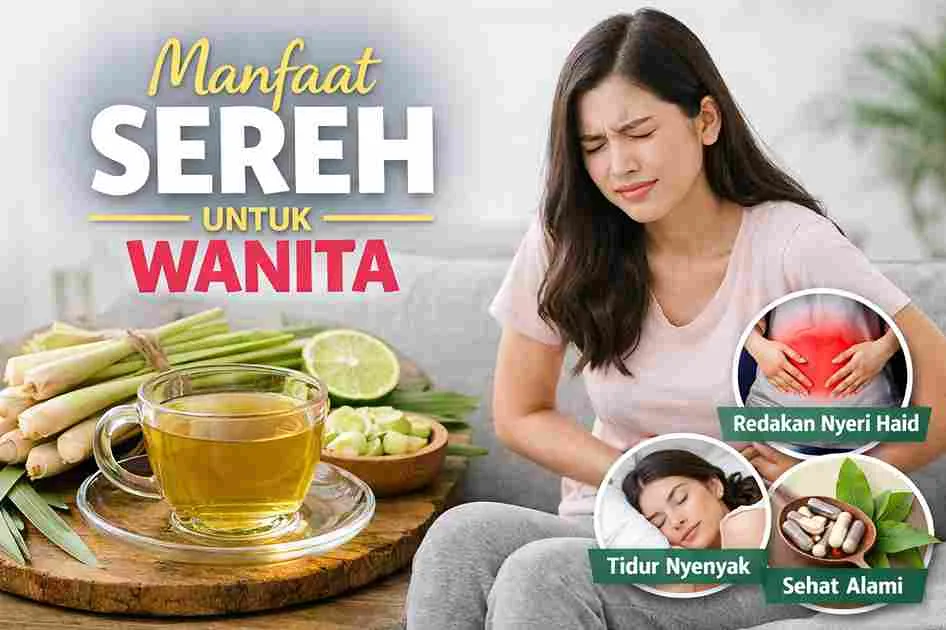 Manfaat sereh untuk wanita yang membantu meredakan nyeri haid, stres, dan menjaga kesehatan tubuh secara alami.