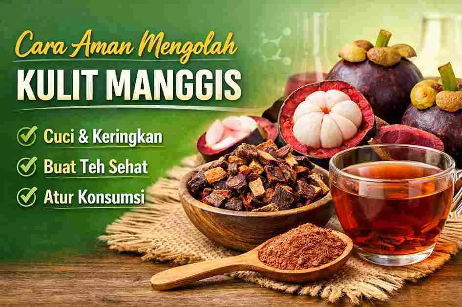 Thumbnail cara aman mengolah kulit manggis menjadi teh dan serbuk herbal dengan kandungan antioksidan alami.