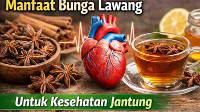 Jarang Disadari, Bunga Lawang Ternyata Baik untuk Jantung