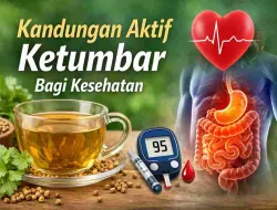 Jarang Disadari, Ini Kandungan Aktif Ketumbar bagi Kesehatan