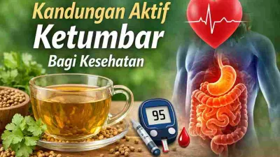 Jarang Disadari, Ini Kandungan Aktif Ketumbar bagi Kesehatan