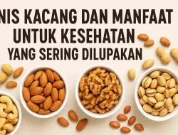 Jenis Kacang & Manfaatnya untuk Kesehatan Yang sering Dilupakan