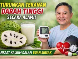 Kalium dalam Buah Sirsak, Cara Alami Turunkan Tekanan Darah Tinggi
