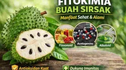Buah sirsak segar dengan ilustrasi senyawa fitokimia seperti flavonoid, acetogenin, dan alkaloid yang bermanfaat bagi kesehatan tubuh