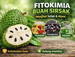 Kandungan Fitokimia Sirsak yang Bikin Tubuh Lebih Sehat
