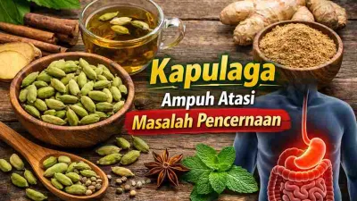 Kapulaga, Rempah Kecil yang Ampuh Atasi Masalah Pencernaan