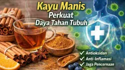 Ilustrasi kayu manis, teh kayu manis, dan simbol kekebalan tubuh dengan ikon perisai untuk menggambarkan manfaat kayu manis dalam meningkatkan daya tahan tubuh.