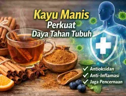 Kayu Manis Bisa Bantu Perkuat Sistem Imun, Ini Penjelasan Ahli