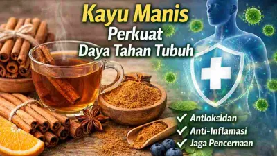 Ilustrasi kayu manis, teh kayu manis, dan simbol kekebalan tubuh dengan ikon perisai untuk menggambarkan manfaat kayu manis dalam meningkatkan daya tahan tubuh.