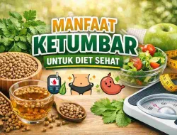 Ketumbar dan Diet Sehat, Apa Manfaatnya bagi Tubuh?