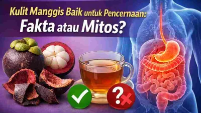 Kulit Manggis Baik untuk Pencernaan, Fakta Ilmiah atau Mitos?