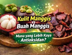 Kulit Manggis vs Buah Manggis, Mana yang Lebih Kaya Antioksidan?