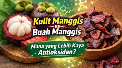 Kulit Manggis vs Buah Manggis, Mana yang Lebih Kaya Antioksidan?
