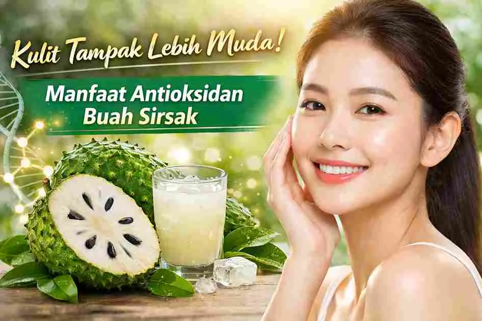 Thumbnail manfaat antioksidan buah sirsak dengan gambar sirsak segar, jus sirsak, dan wanita berkulit cerah untuk ilustrasi anti-aging.