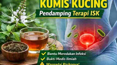 Kumis Kucing untuk ISK: Manfaat, Fakta Medis, dan Resikonya