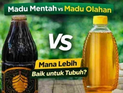 Madu Mentah vs Madu Olahan, Mana Lebih Baik untuk Tubuh?