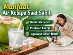 Manfaat Air Kelapa Saat Sakit, Bantu Tubuh Lebih Cepat Pulih