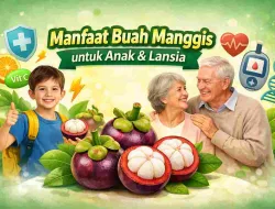 Manfaat Buah Manggis bagi Anak dan Lansia, Kata Ahli