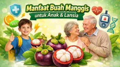 Thumbnail manfaat buah manggis untuk anak dan lansia dengan ilustrasi anak, pasangan lansia, dan buah manggis segar