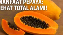 Manfaat Buah Pepaya yang Bikin Sehat Total, Wajib Tahu!
