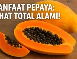 Manfaat Buah Pepaya yang Bikin Sehat Total, Wajib Tahu!