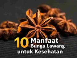 Manfaat Bunga Lawang untuk Kesehatan, Rempah Kaya Khasiat