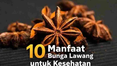 Bunga lawang kering berbentuk bintang sebagai rempah alami kaya manfaat untuk kesehatan